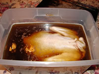 Add Turkey to Brine